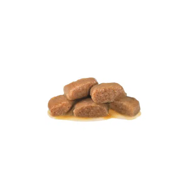 پوچ گربه رویال کنین با طعم ماهی Royal Canin Renal Fish وزن ۸۵ گرم - Image 2