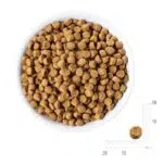 غذای خشک گربه بالغ با طعم مرغ رفلکس پلاس وزن 1.5 کیلوگرم - Image 3