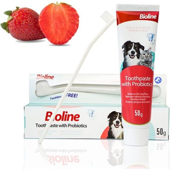 921d8346029d413caa5c118025da9e67