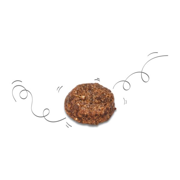 e9746c6e3fdf4db48d4d1f0d5e5d1240