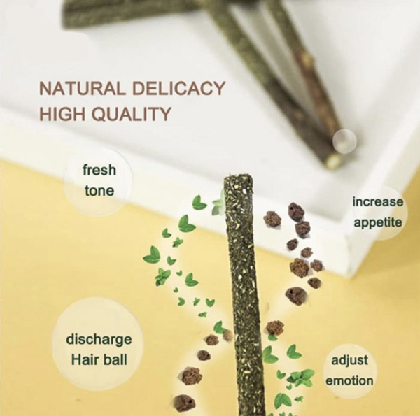 4442ADE3-706A-49D3-B34D-98003AAE801B