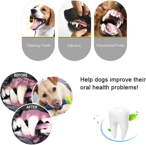 61AKkGzxQdS._AC_SL1000_