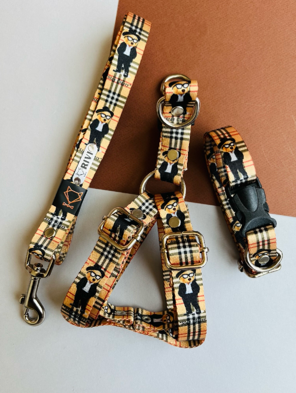 B51FC0D5-9A51-4A1A-AD2C-DA225A91293C