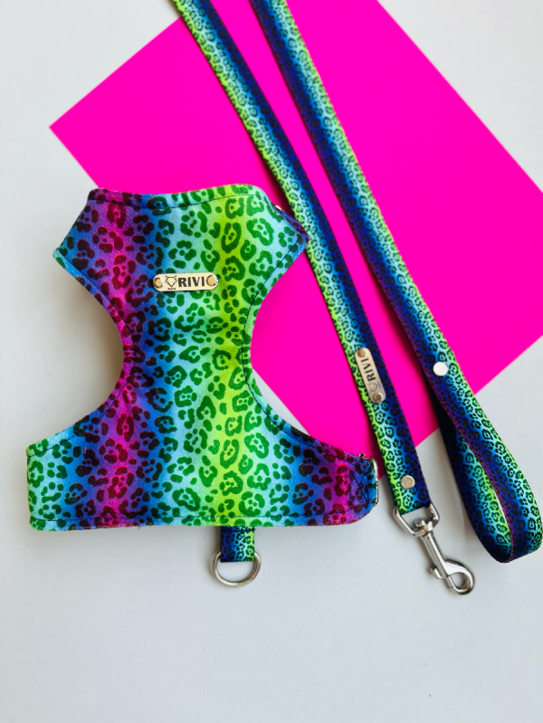 F9E89F7F-5E5D-4E00-9B54-4D0B64395DC6