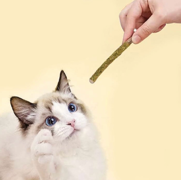 FB84390E-B8F2-4DB2-8BE9-B678546E9034