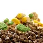 تشویقی فریز دراید طرح پنجه گربه و سگ YEE freeze dried pet treat - Image 3