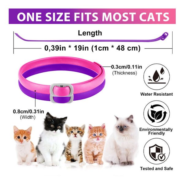 345b9cb7a2774792a0810c0a24656c05