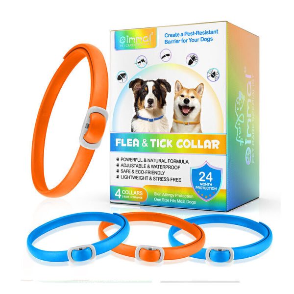 c72c1023e969446b957caaa128241990