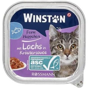 ووم گربه وینستون طعم ماهی وزن 100 گرم Winston Feine Pastete Mit Lachs